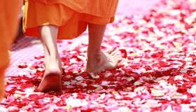 Walks of Buddhist Monks in Thailand